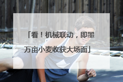看！机械联动，即墨万亩小麦收获大场面