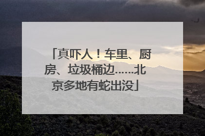 真吓人！车里、厨房、垃圾桶边……北京多地有蛇出没