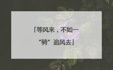 等风来，不如一“骑”追风去