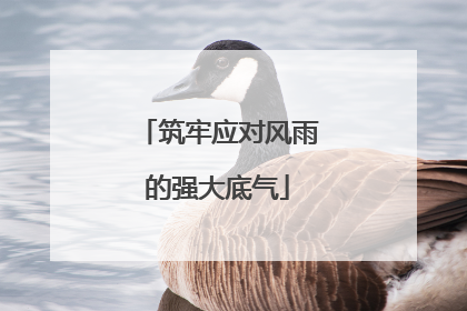 筑牢应对风雨的强大底气