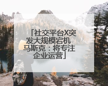 社交平台X突发大规模宕机 马斯克：将专注企业运营