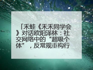 禾蛙《禾禾同学会》对话欧阳泽林：社交网络中的“超级个体”，反常规重构行业生态！