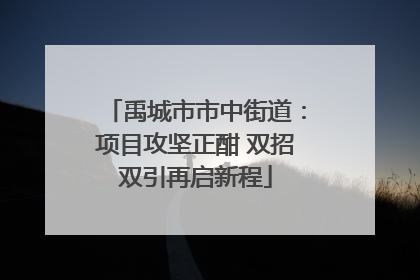 禹城市市中街道：项目攻坚正酣 双招双引再启新程