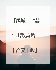 禹城：“蒜”出致富路 丰产又丰收