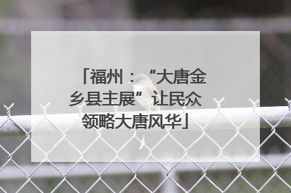 福州：“大唐金乡县主展”让民众领略大唐风华