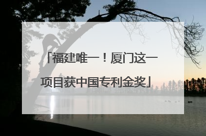福建唯一！厦门这一项目获中国专利金奖