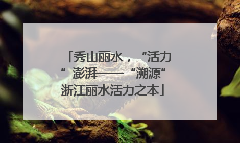 秀山丽水，“活力”澎湃——“溯源”浙江丽水活力之本