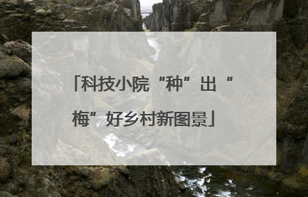 科技小院“种”出“梅”好乡村新图景