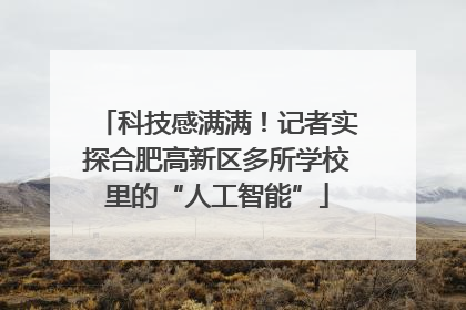 科技感满满！记者实探合肥高新区多所学校里的“人工智能”