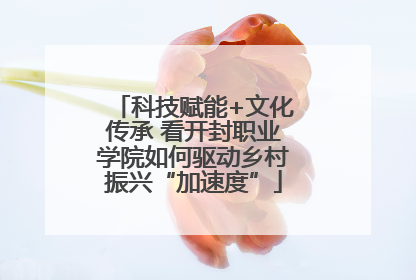 科技赋能+文化传承 看开封职业学院如何驱动乡村振兴“加速度”