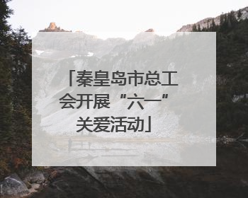 秦皇岛市总工会开展“六一”关爱活动
