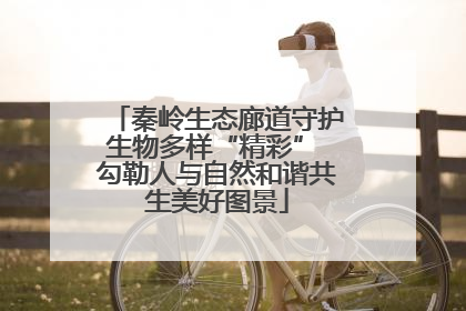秦岭生态廊道守护生物多样“精彩” 勾勒人与自然和谐共生美好图景