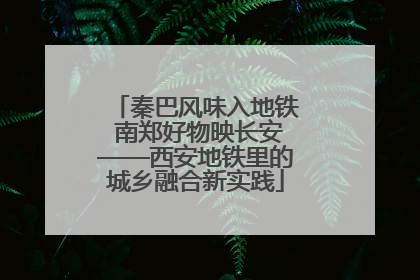 秦巴风味入地铁 南郑好物映长安——西安地铁里的城乡融合新实践