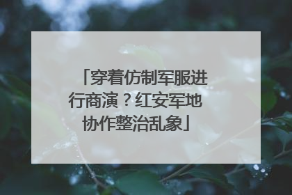 穿着仿制军服进行商演？红安军地协作整治乱象