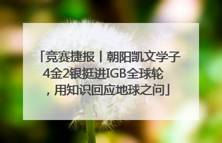 竞赛捷报丨朝阳凯文学子4金2银挺进IGB全球轮，用知识回应地球之问