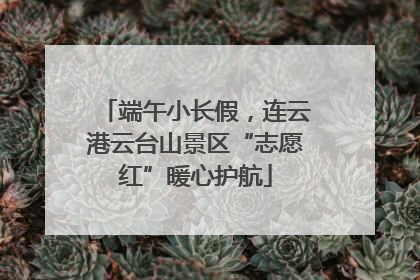 端午小长假，连云港云台山景区“志愿红”暖心护航