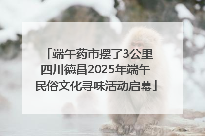 端午药市摆了3公里 四川德昌2025年端午民俗文化寻味活动启幕