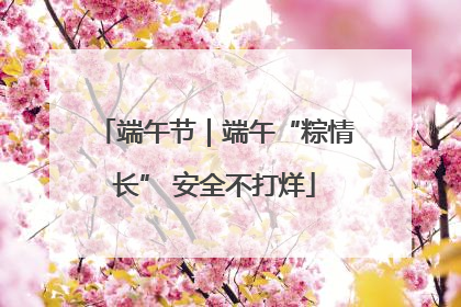 端午节｜端午“粽情长” 安全不打烊