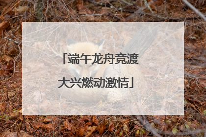 端午龙舟竞渡 大兴燃动激情