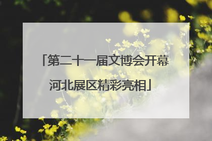 第二十一届文博会开幕 河北展区精彩亮相
