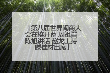 第八届世界闽商大会在榕开幕 周祖翼陈旭讲话 赵龙主持 滕佳材出席