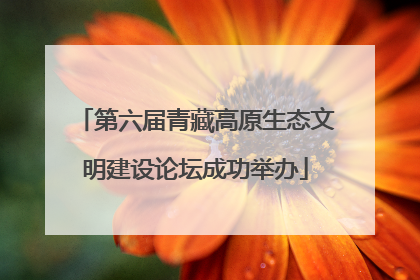 第六届青藏高原生态文明建设论坛成功举办