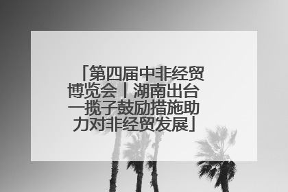 第四届中非经贸博览会丨湖南出台一揽子鼓励措施助力对非经贸发展