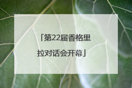 第22届香格里拉对话会开幕
