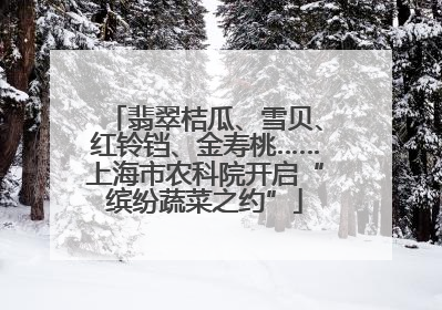翡翠桔瓜、雪贝、红铃铛、金寿桃……上海市农科院开启“缤纷蔬菜之约”