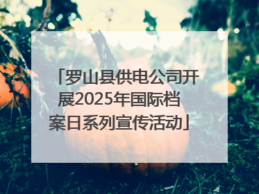 罗山县供电公司开展2025年国际档案日系列宣传活动