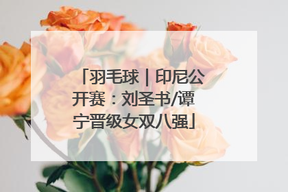 羽毛球｜印尼公开赛：刘圣书/谭宁晋级女双八强