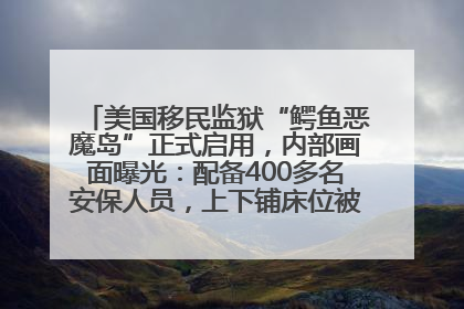 美国移民监狱“鳄鱼恶魔岛”正式启用，内部画面曝光：配备400多名安保人员，上下铺床位被罩在铁丝网里