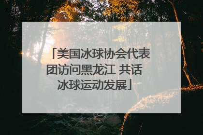 美国冰球协会代表团访问黑龙江 共话冰球运动发展