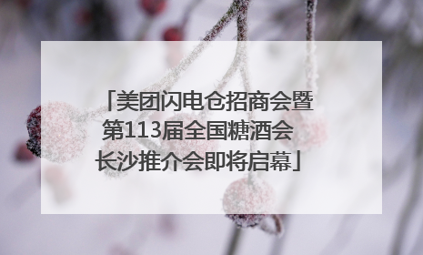 美团闪电仓招商会暨第113届全国糖酒会长沙推介会即将启幕