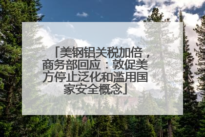 美钢铝关税加倍，商务部回应：敦促美方停止泛化和滥用国家安全概念