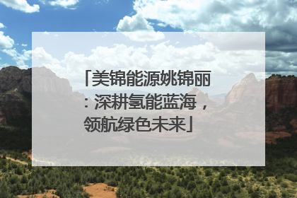 美锦能源姚锦丽：深耕氢能蓝海，领航绿色未来