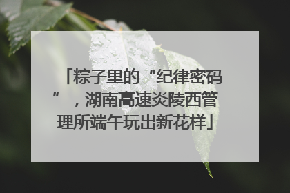 粽子里的“纪律密码”，湖南高速炎陵西管理所端午玩出新花样