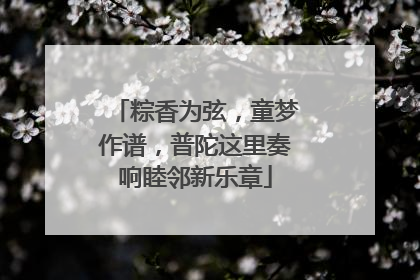 粽香为弦，童梦作谱，普陀这里奏响睦邻新乐章