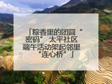粽香里的团圆“密码” 太平社区端午活动架起邻里“连心桥”