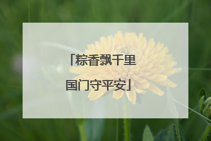 粽香飘千里 国门守平安