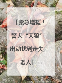 紧急增援！警犬“天狼”出动找到走失老人