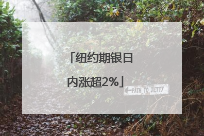 纽约期银日内涨超2%