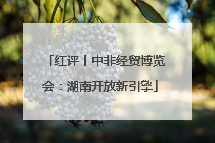 红评丨中非经贸博览会：湖南开放新引擎