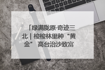 绿满陇原·奇迹三北｜梭梭林里种“黄金” 高台治沙致富很“从容”
