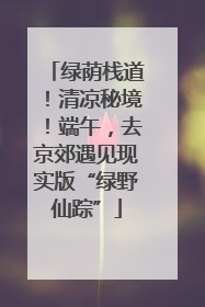 绿荫栈道！清凉秘境！端午，去京郊遇见现实版“绿野仙踪”