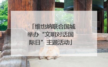 维也纳联合国城举办“文明对话国际日”主题活动