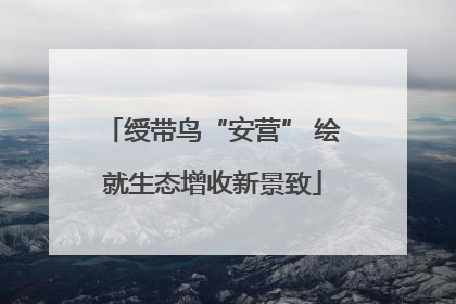 绶带鸟“安营” 绘就生态增收新景致