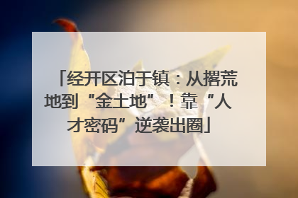 经开区泊于镇：从撂荒地到“金土地”！靠“人才密码”逆袭出圈