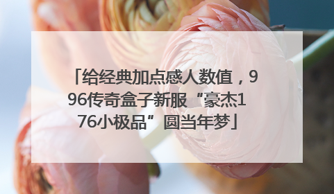 给经典加点感人数值，996传奇盒子新服“豪杰176小极品”圆当年梦
