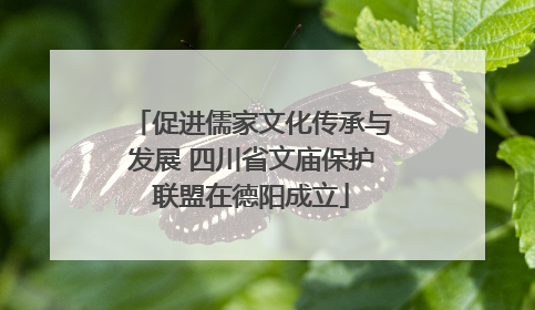 促进儒家文化传承与发展 四川省文庙保护联盟在德阳成立
